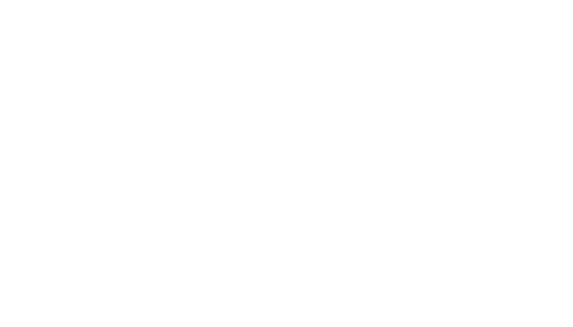 VDM Management footer logo